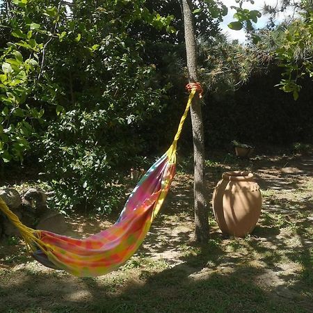 Ferienwohnung La Bastide Des Sources Beaucaire  Exterior foto