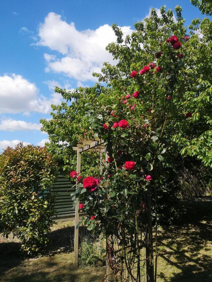 Ferienwohnung La Bastide Des Sources Beaucaire  Exterior foto