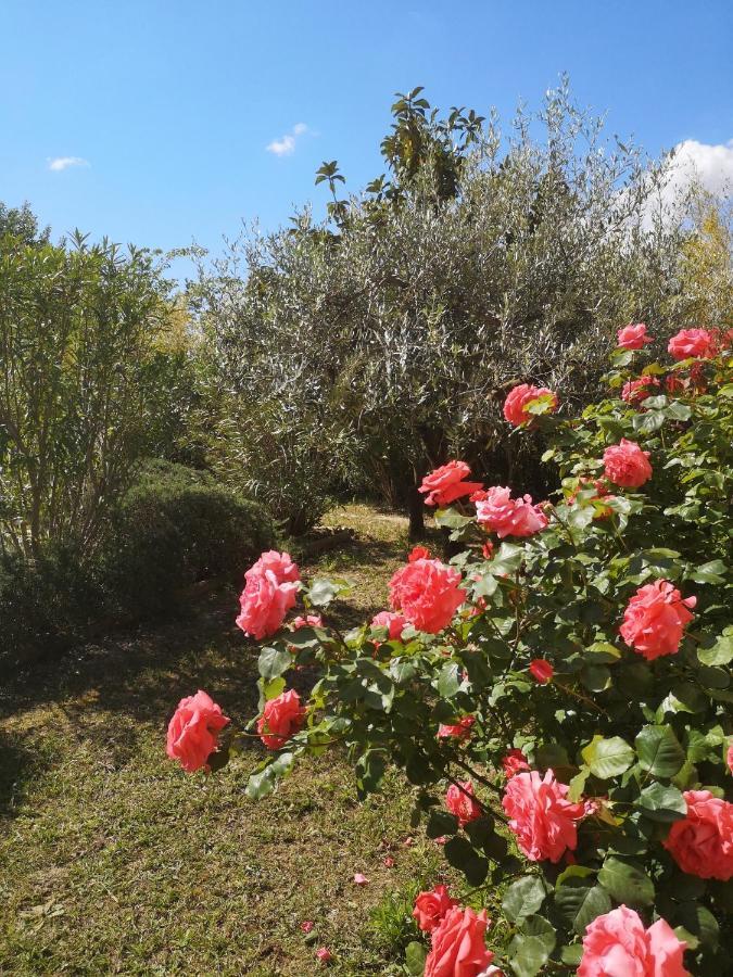 Ferienwohnung La Bastide Des Sources Beaucaire  Exterior foto